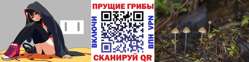 Псилоцибиновые грибы мухоморы  Буй 